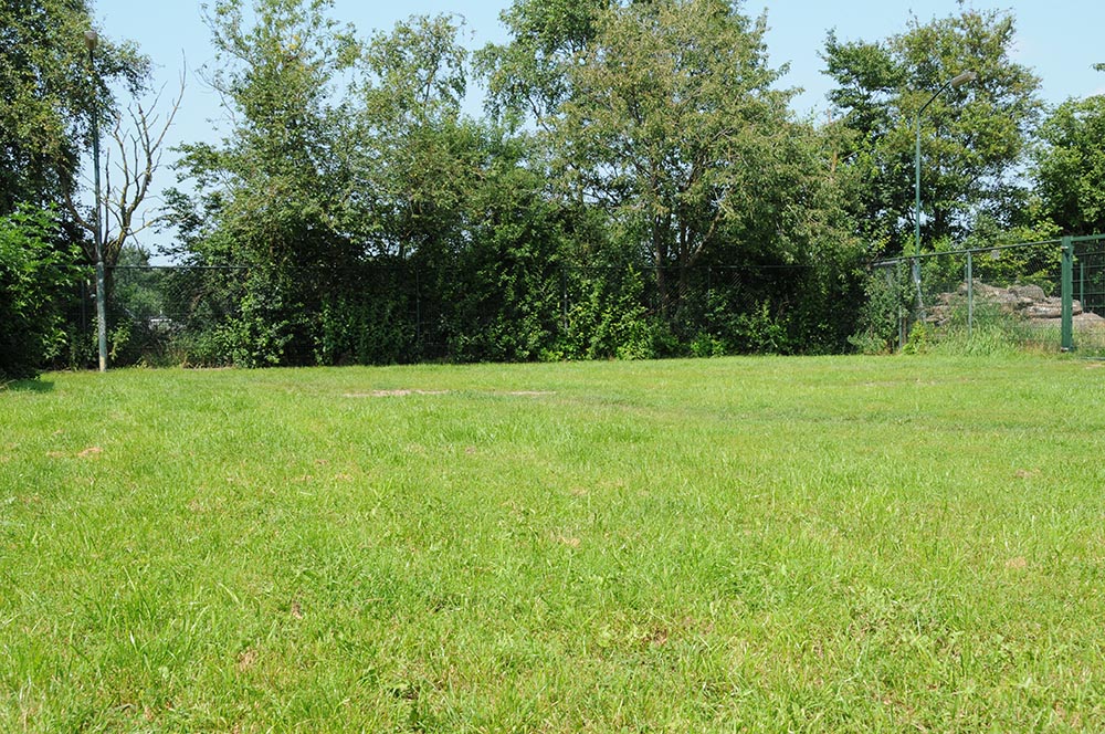 DSC_3493.JPG